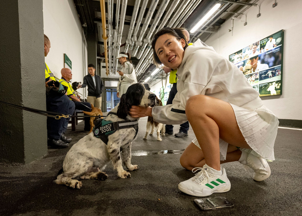 The Working Dogs of Wimbledon - The Championships, Wimbledon